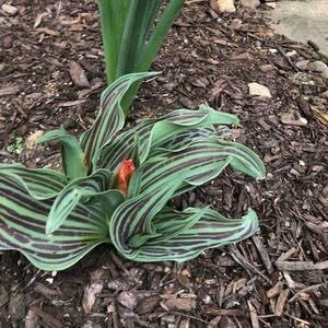 Meet your Posher, Crystal